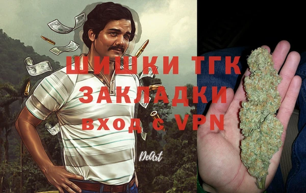 гидропоника Абаза