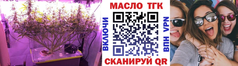 мега как войти  Кашира  ТГК THC oil  купить наркоту 