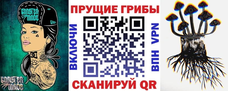 Псилоцибиновые грибы мицелий  купить   Кашира 
